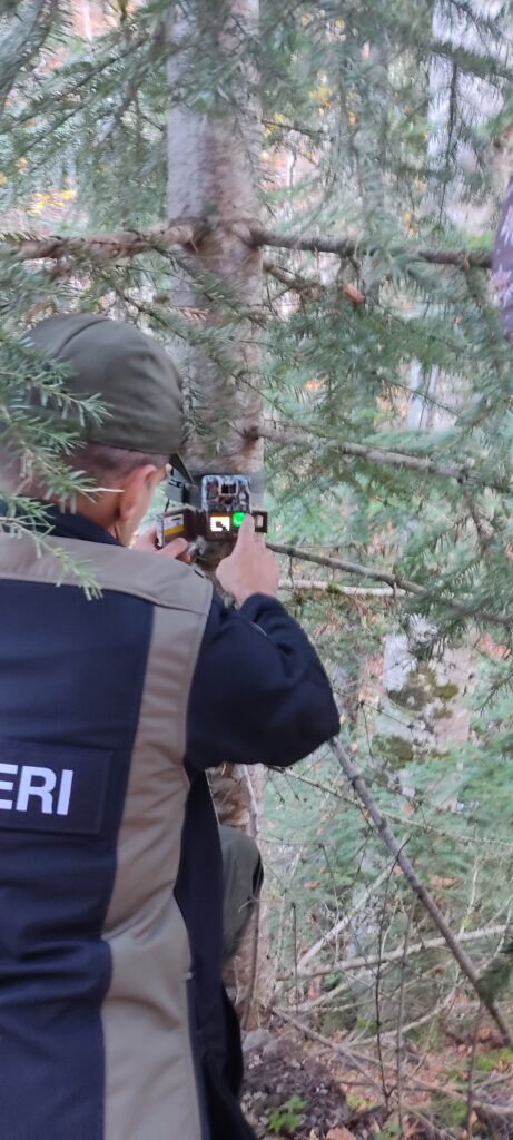 Postavljene kamere za praćenje divljači u parku prirode Komovi
