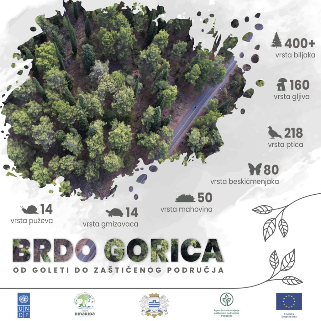 BROŠURA “OD GOLETI DO ZAŠTIĆENOG PODRUČJA – SPOMENIK PRIRODE PARK ŠUMA GORICA”