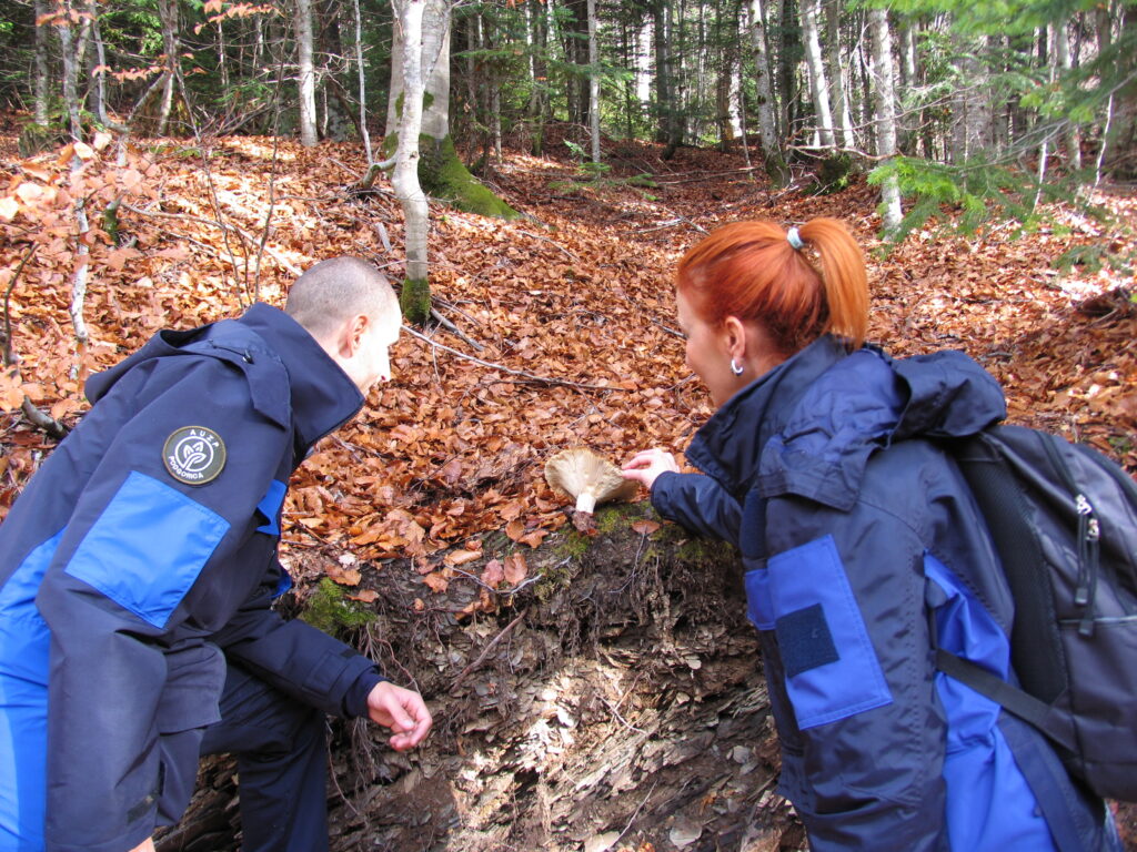 Inventarizacija i kartiranje gljiva u PP „Komovi“ i SP „Park šuma Gorica“
