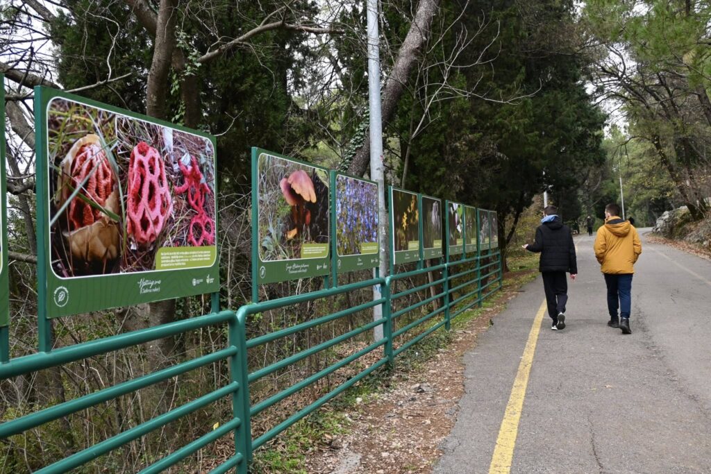 ''SKRIVENI SVIJET'' - IZLOŽBA NA GORICI