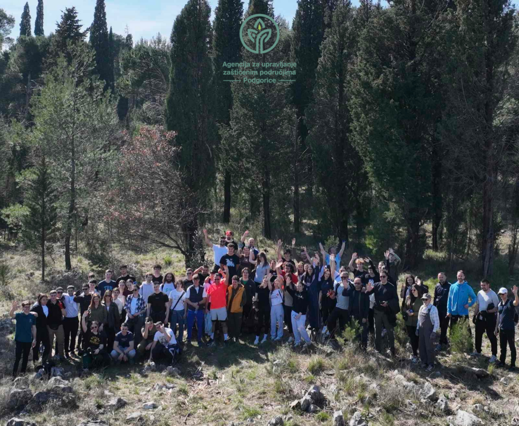 Zimska volonterska akcija uklanjanja biljnog otpada