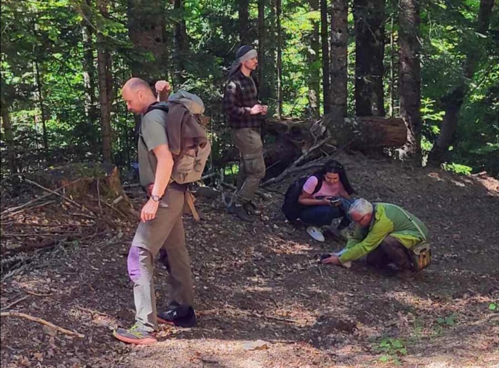 Realizovana terenska istraživanja biodiverziteta bukovih šuma na Komovima