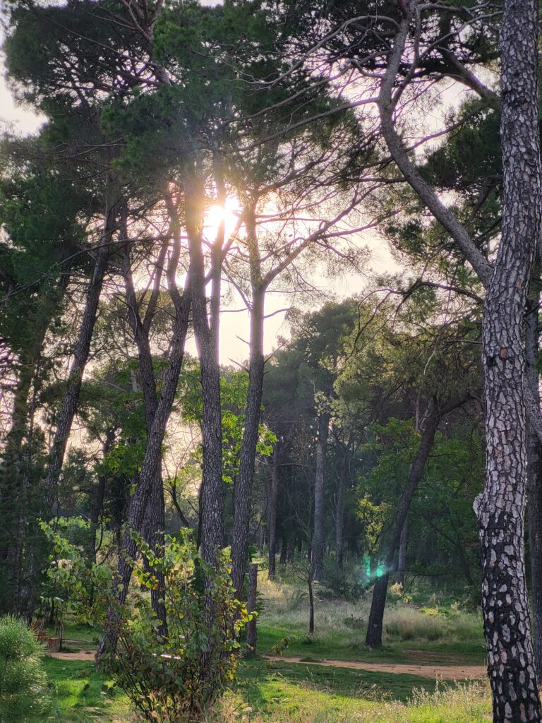 PLAN NJEGE I OBNOVE ŠUMA ZA SPOMENIK PRIRODE „PARK ŠUMA GORICA“ - NOVI PRISTUP UPRAVLJANJU ŠUMSKIM PEJZAŽEM