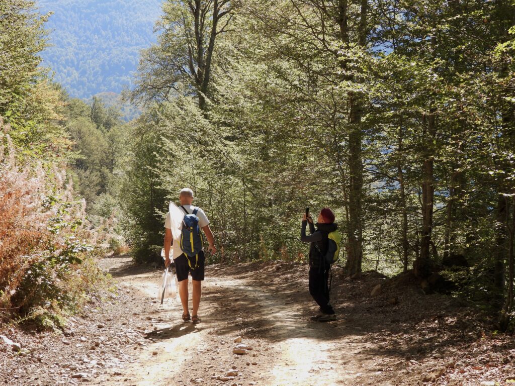 Otpočelo istraživanje biodiverziteta Bukumirskog i Rikavačkog jezera